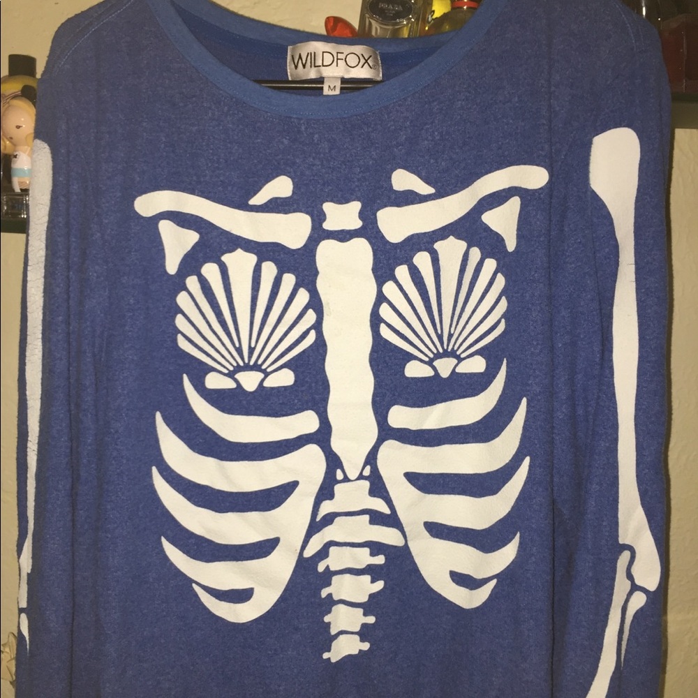 Mermaid Wildfox jumper